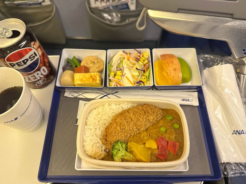 The Friendliest Wide-Body in the Sky: Flying ANA's Boeing 767 Economy from Tokyo to Shanghai