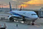 The Friendliest Wide-Body in the Sky: Flying ANA's Boeing 767 Economy from Tokyo to Shanghai
