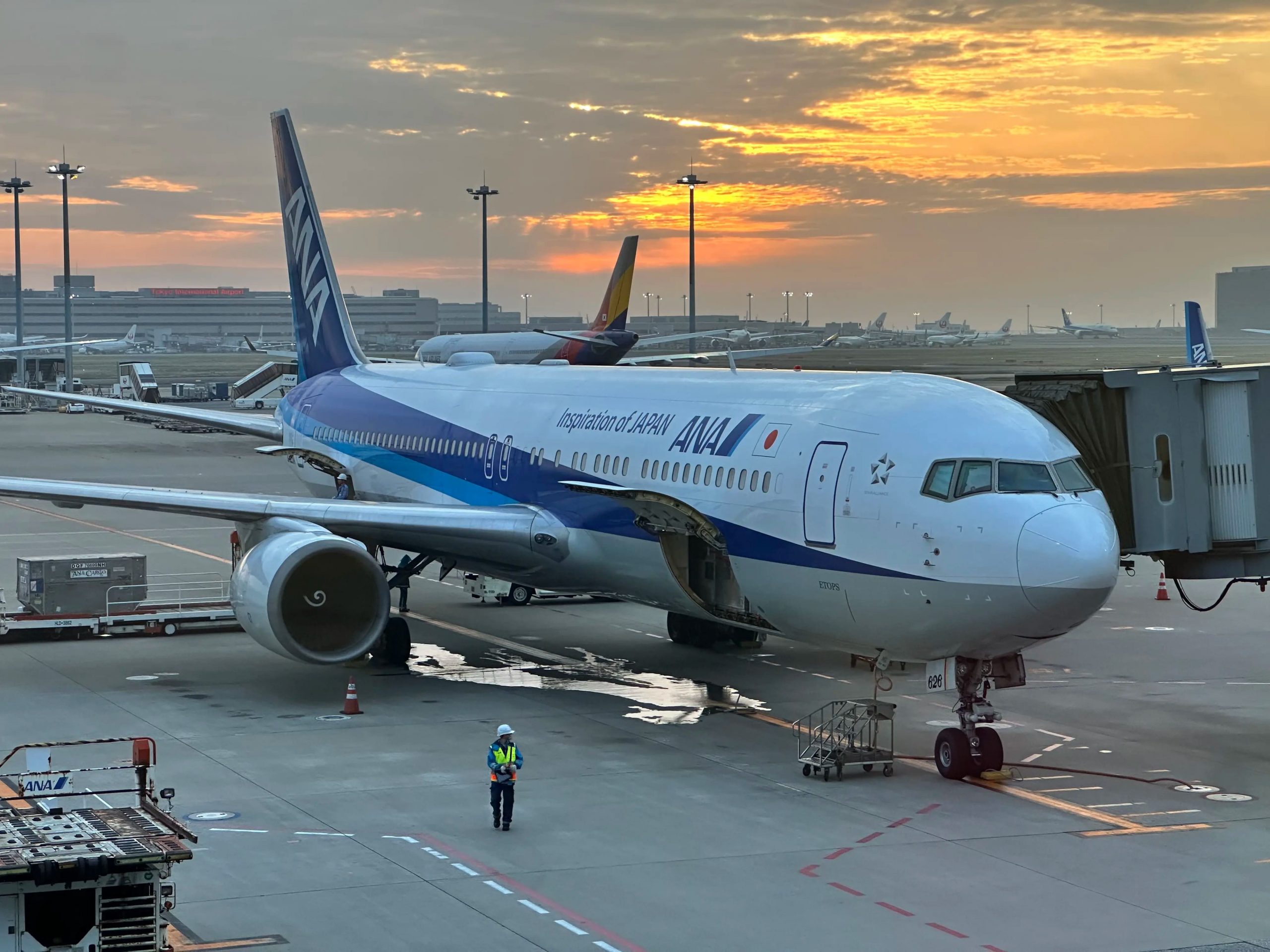The Friendliest Wide-Body in the Sky: Flying ANA's Boeing 767 Economy from Tokyo to Shanghai